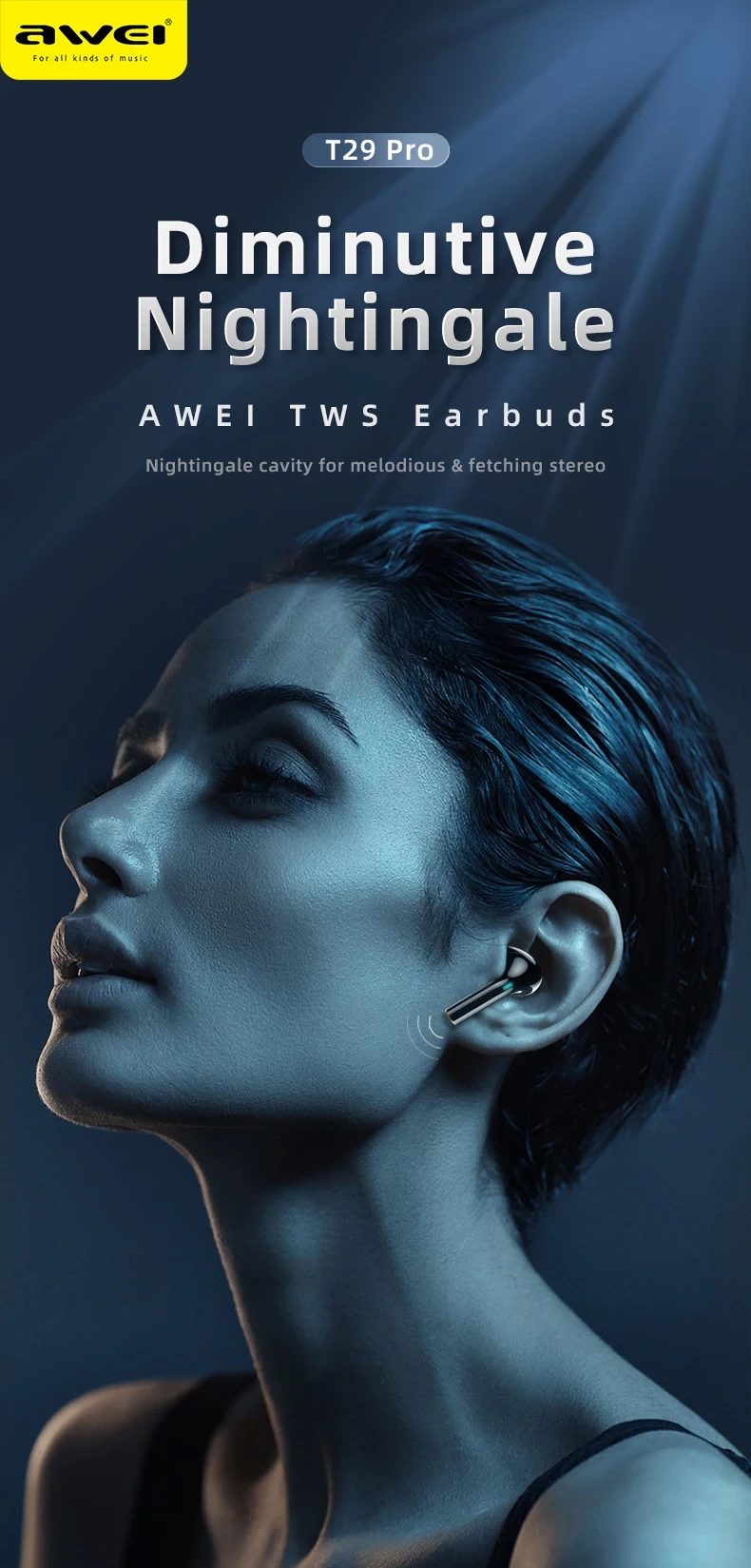 Awei T29 Pro TWS Bluetooth Earphones